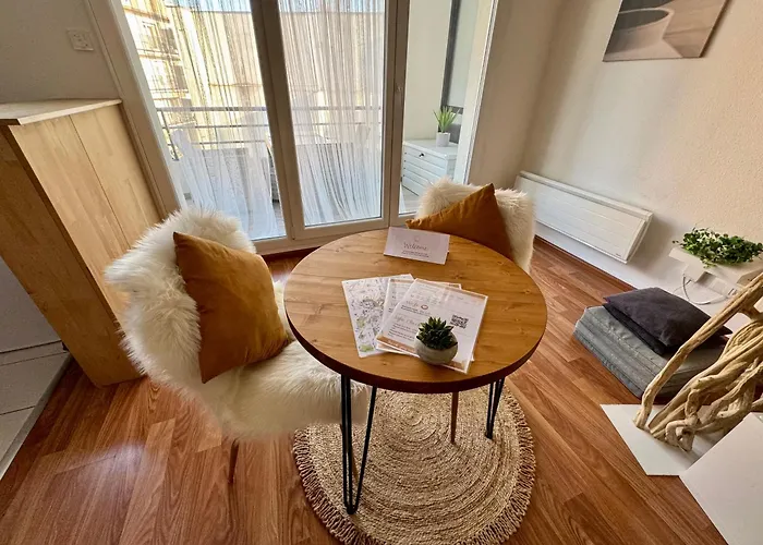 Bienvenue Au Raio De Sol - Centre - 2 Guests Апартаменти Кольмар